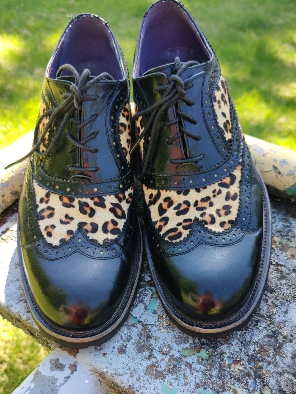 Steve Madden Black Leather & Leopard Print Wingtip Oxfords